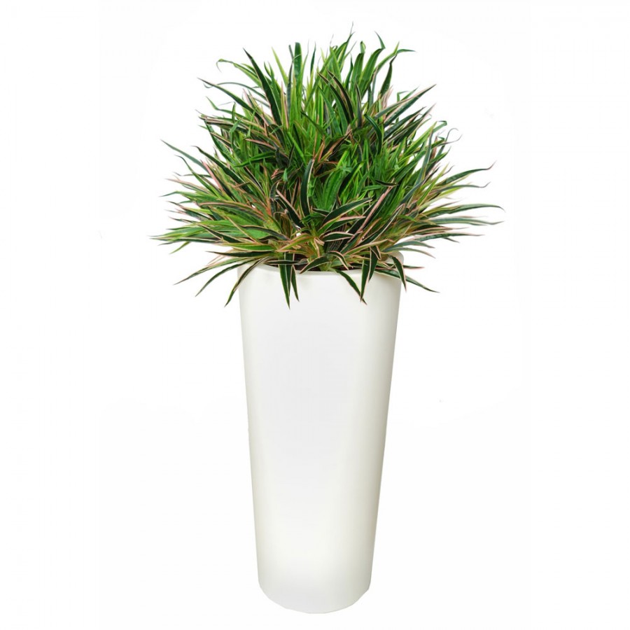 Planta semi-artificiala Ila, Rainbow Bush Green Red - 100 cm